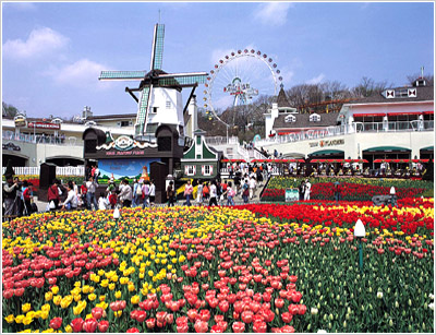 Theme Park
