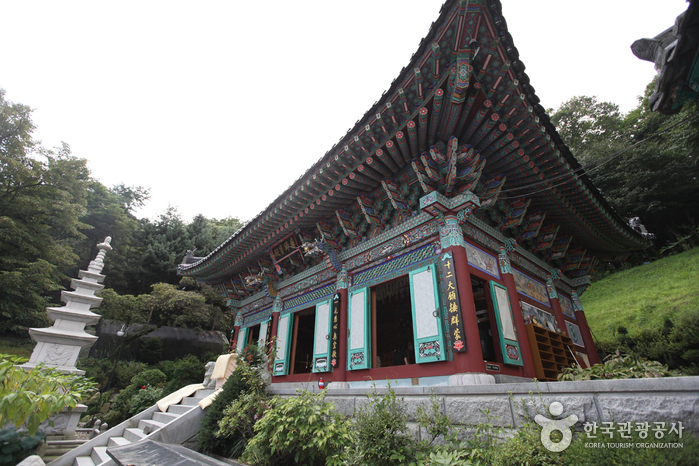 반일 관광